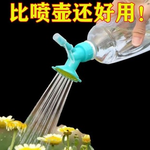 ���������^���ÿɘ�ƿ���ƿ�������^�ɸ��Q�������̫ꖻ������^