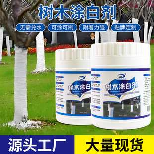 ��ľ�T�ׄ����x�������������T�ׄ�����@�־G����ɉT�׏S�����l