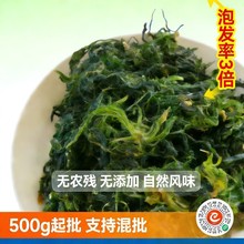 脱水荠菜蔬菜干春卷馅原料厂家批发荠菜干可代发热风干燥冻干
