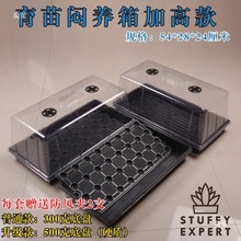 ���w���B��@ˇů��������ͥԺ���ͺмӸ�Ǥ�������P���b����؝�