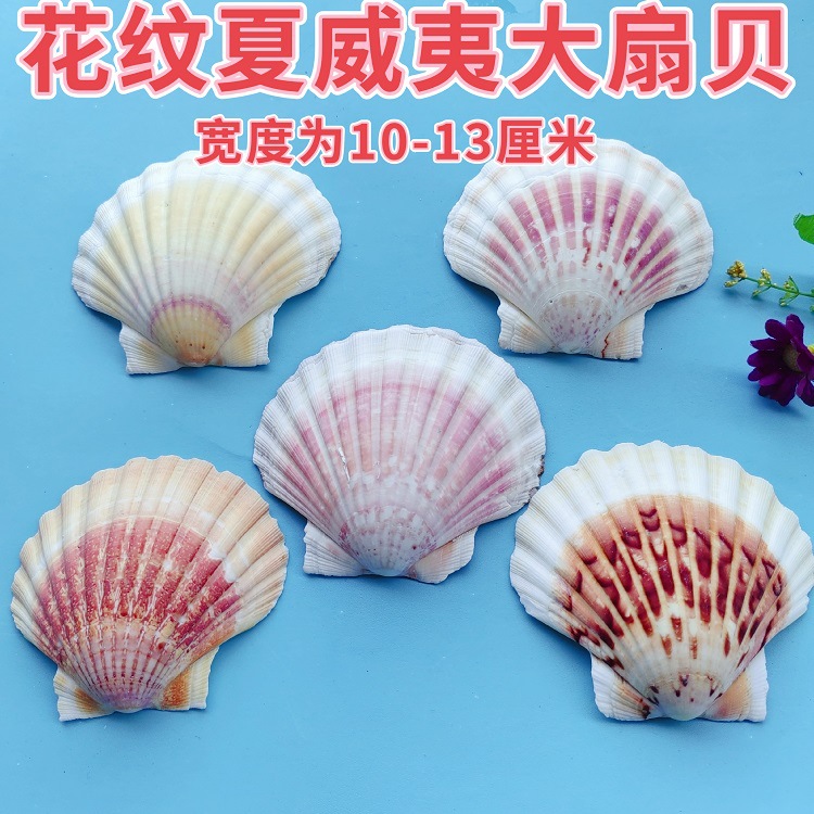 MTXX_MH20240319_145807694