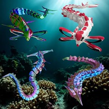 ��Ժ���߅3d��ӡ����P���Ʉ����S̹��������ģ����߅����[��