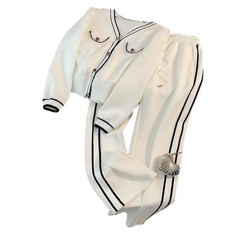 Damenbekleidung Herbst und Winter 2024 Neue Mode Schlanke Anzughose Temperament Taille Lässige Gerade Hose Stilvolles, altersreduzierendes Reißverschlussoberteil_voghion.com