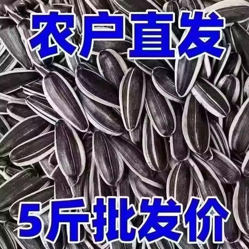 【Extra Large Kernels】Inner Mongolia New Crop Sunflower Seeds, Full and Original Flavor, Roasted Snacks, Bulk Wholesale