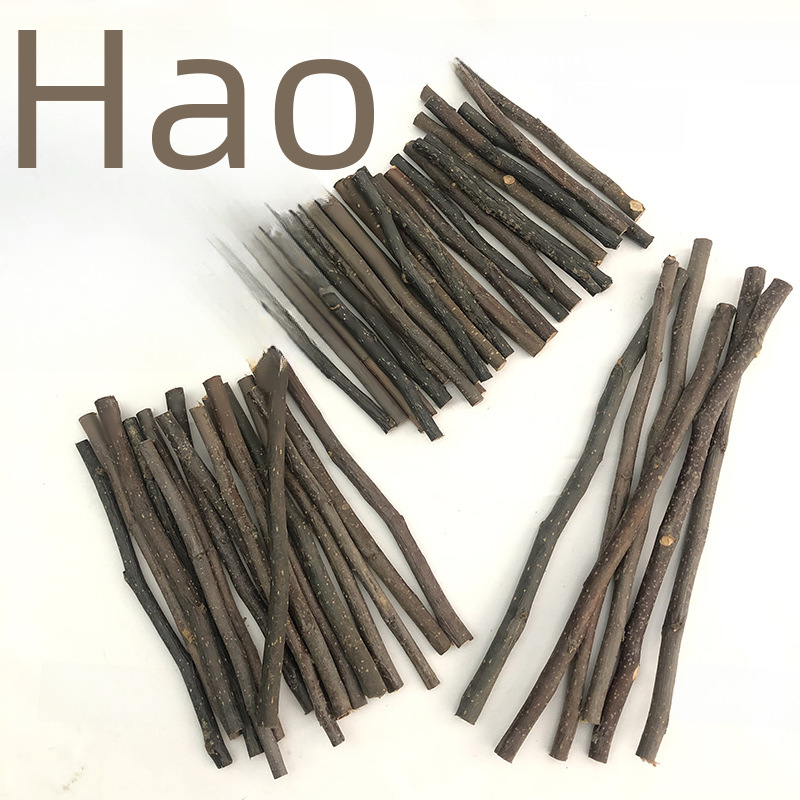 Apple Branch Pet Chew Sticks for Hamsters, Guinea Pigs, Rabbits, Chinchillas, Wood and Dry Branches Kindergarten Supplies