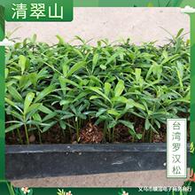 ̨���_�h��С��ͥԺ�҃��^�~ֲ���ļ������_�h�ɬF�����s���Ի���