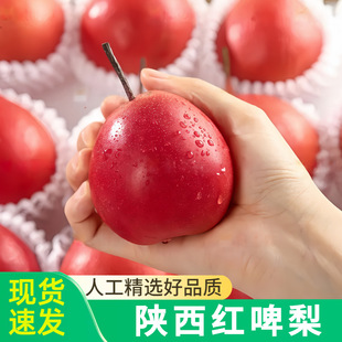 ����tơ�澫�x�tƤ����ܛŴ����t��ʯơ����̫������tƤ����l