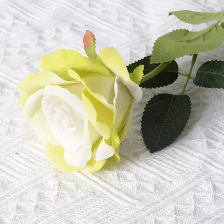 Large velvet rose green