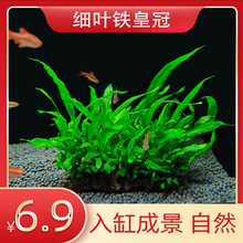 �ʹڲݴ��~��~¹�Ǽ��~�F�ʹ���ԑ���ˮ���к��~���쾰������