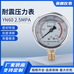 ����������YN60 2.5MPAˮ����≺��Һ����1.6/10/25MPA�͉���