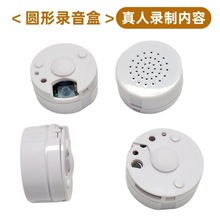 �F؛�A��������׃��@������̌W�������������������30��60��