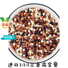 �a��؛Դ���l޼���M����ɫ޼�������������S�����׼t�ڰ���ɫ޼��