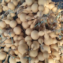 �S�����l������̖���J �[��������Ȼ���J��̖���Jͨ؛