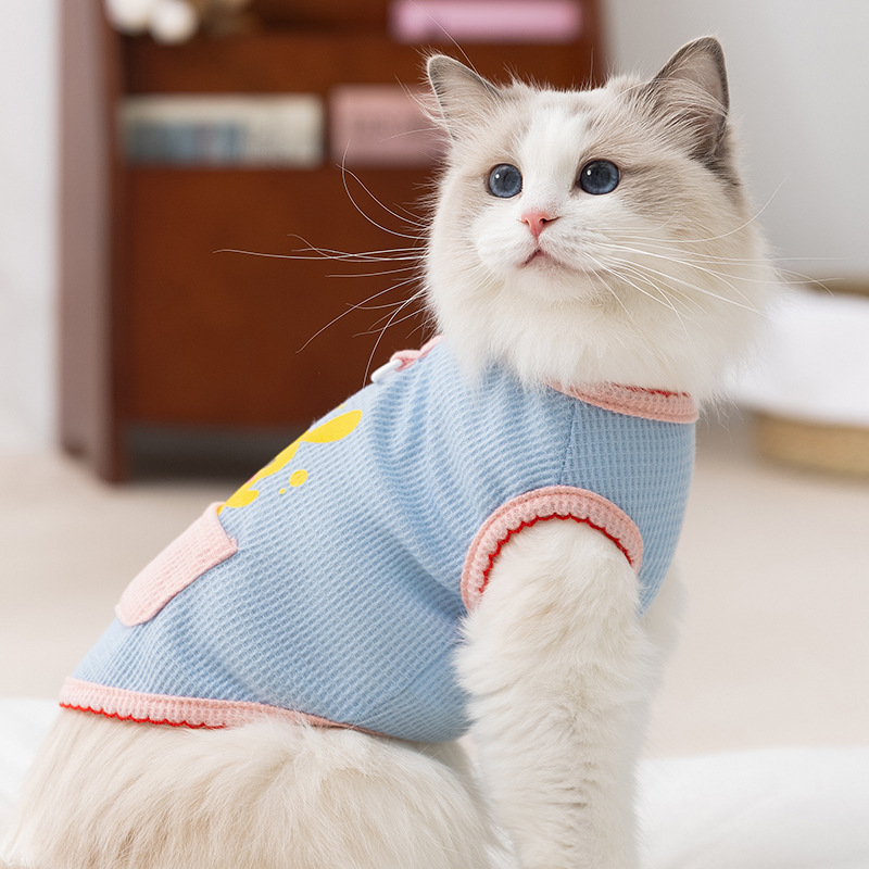 Gato verano transpirable gato sin pelo gatito dibujos animados conejo bolsillo chaleco de dos patas perro peluche ropa para mascotas