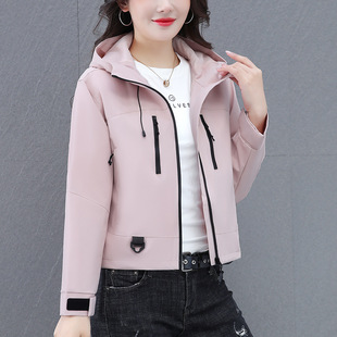 �̿�_�h������Ůʿ���＾2025�¿�r�аٴ�����e������¿羳