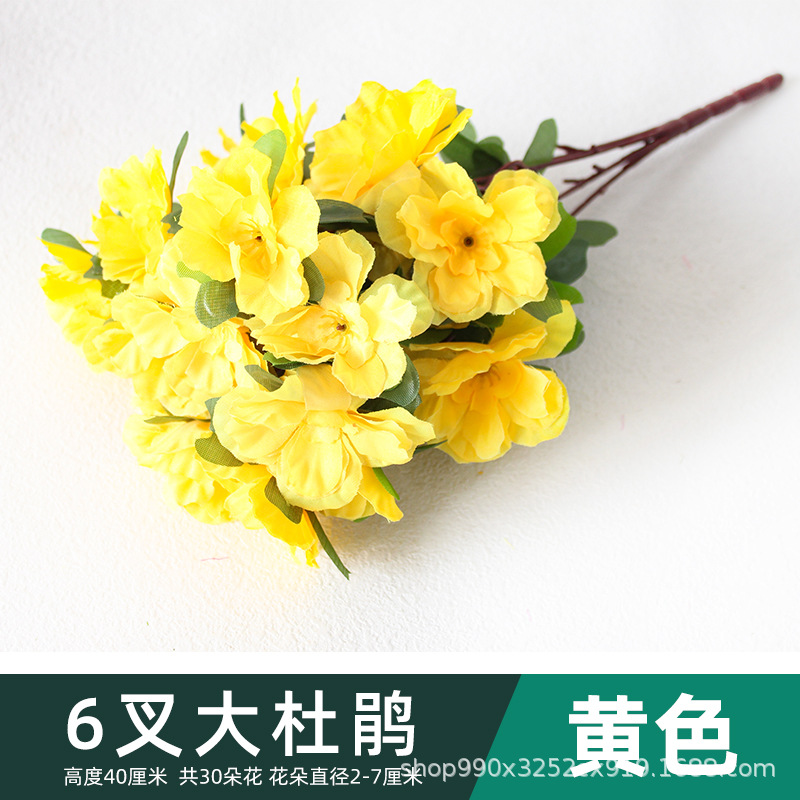 Amarillo-6 ramas Azalea