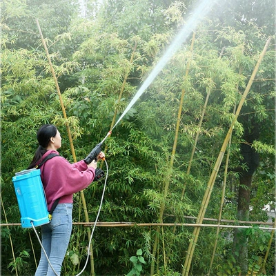 Lithium Battery Small Rechargeable Vegetable Portable car washer