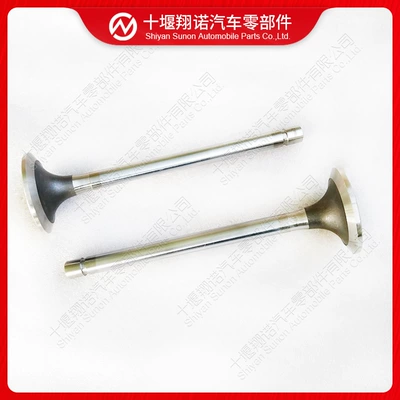 Engine Exhaust Valve 3803529 3088391 3035110 3024395 3007225 206515 (Valves and components)