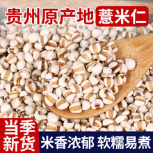 �F�����r޲��޲�����r������s�Z�t����޲���װ���I�B����