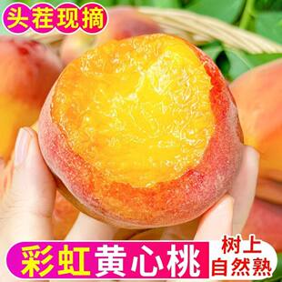 ���^�硿¶��ʺ��S��4.5��ë�ґ������rˮ�����Ӵ����S��������