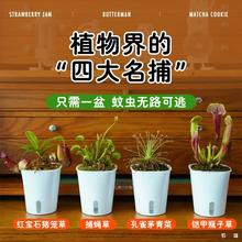 ��ω�������i�\����Gֲ��ʳ���x�ݻ����׃��@�҃Ⱥ��B��