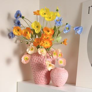 Strawberry Vase Ceramic Ornaments Ins Style High Color Value Advanced Sense Hydroponic Large Vase Amazon TikTok Explosions