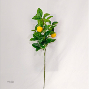 ���晎��֦����֦��Ƥ�~���~�ŗd���~���񶹰��~�Ҿӻ�ƿ�廨�b�