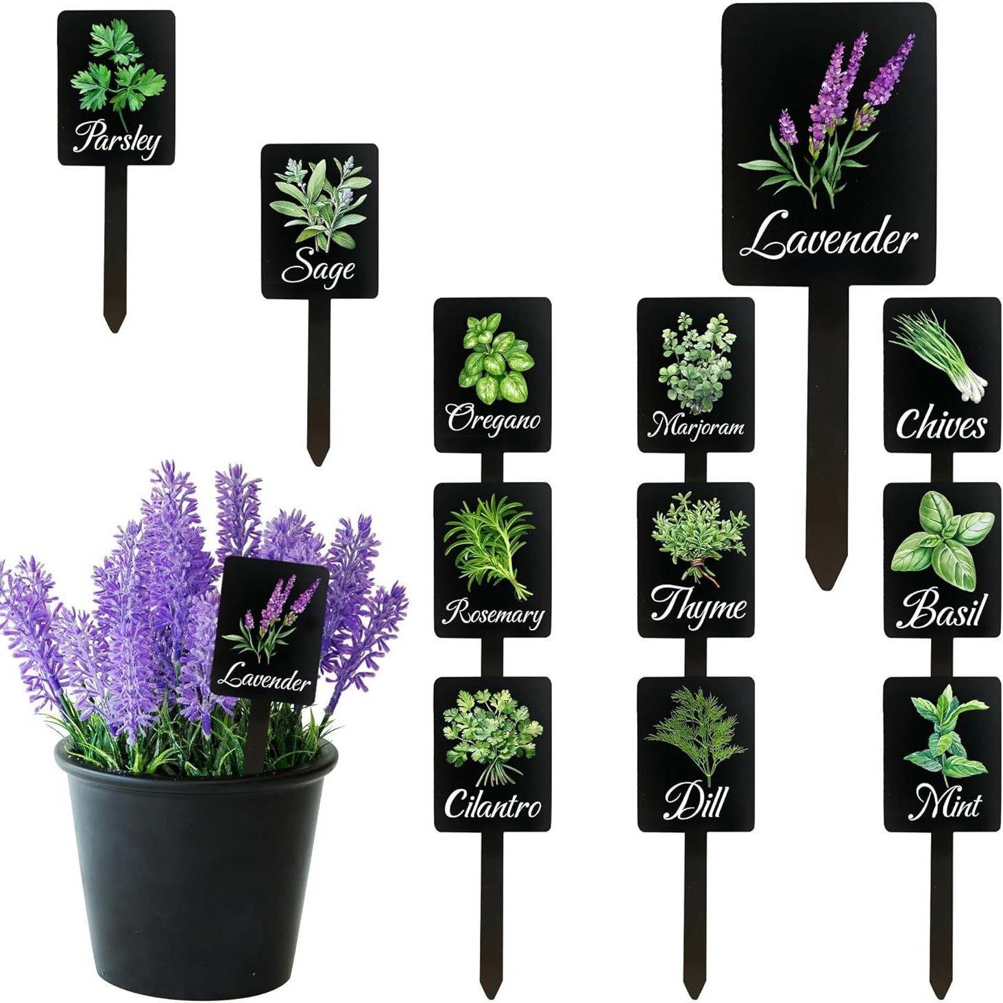 跨境热销亚克力植物标签 花园装饰展示牌植物标牌有机玻璃标志