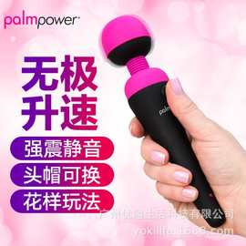 北美司Palmpower AV棒女用充电款按摩手棒SWAN情趣女用自慰震动棒