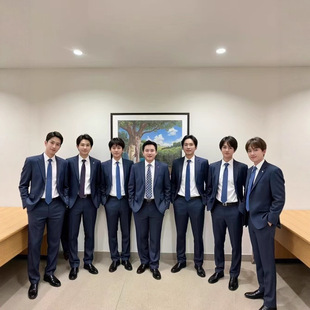Cross-Border Export Export Suit Custom Jacket Men's Suit Business Men's High-End Suit Pants Professional Wear Customization