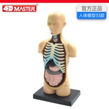 4D Master����ģ����������ṹҽѧ��ѧ�̾߿ɲ�ж��������