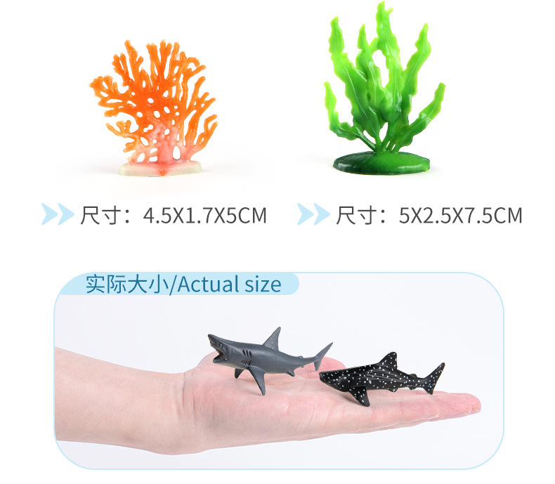 详情_04.jpg