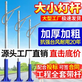 太阳能灯;灯柱灯杆;道路照明灯