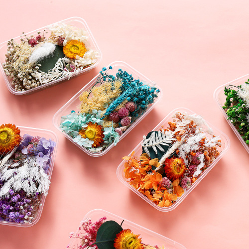 Preserved Flower Dried Flower Material Pack Floating Flower DIY Mini Pressed Flower Box Frame Fan Scented Droplet Resin Material Pack