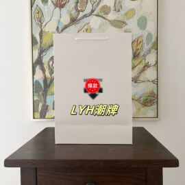迪家手提袋DESCT专柜服装包装袋迪桑TE原版棉服冲锋衣包装袋批发