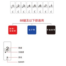 厂家直销透明61/88键电钢琴贴 键位手卷琴贴 钢琴键盘贴纸