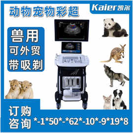 徐州凯尔b超机2026宠物医院用彩超b超机图片推车动物彩超机四维