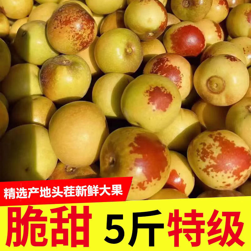陕西大荔冬枣新鲜5斤包邮 水果当季应季一整箱脆甜大枣子青枣鲜枣|undefined
