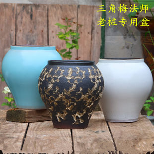 �ֹ���ڴ��ջ�������÷���⻨��͸��Gֲ�����չ�ͥԺ�����Ϙ���