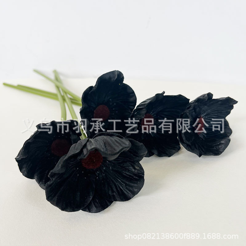 순수한 검정색