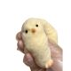 Hen chicken pinch music handmade free-range native chicken pinch funny vent little red book toy