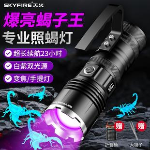 ������ϐ�ӟ�����������2025�¿����Ͳ�Ϲ�����L�m��