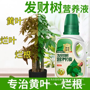 ���ό��÷����~�Ӱl�S�~�����҃�����ֲ�ﻨ��ͨīˮ��������ˮ��