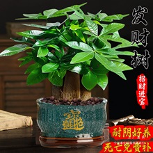 �lؔ��С���Դ�Gֲ�k���҃ȳ���ȩ���ܿ͏d���B��լֲ�������辰