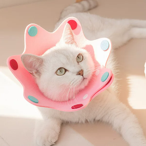 Elizabeth Collar Felt Pet Adjustable Collar Thin Soft Light Collar Postoperative Recovery Anti-Licking Anti-Biting Shame Circle