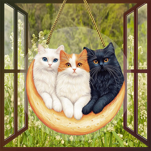 �羳����������؈���ɫ������K �T�ȼҾ��b�ˇ�gƷ���@�b�Ʒ