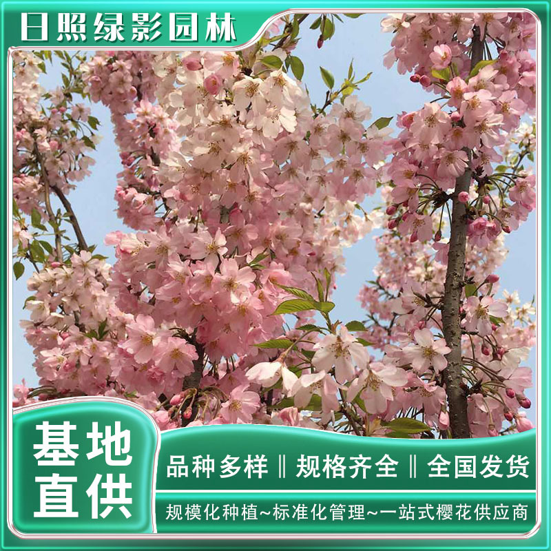 11893419776791446815 副本.jpg