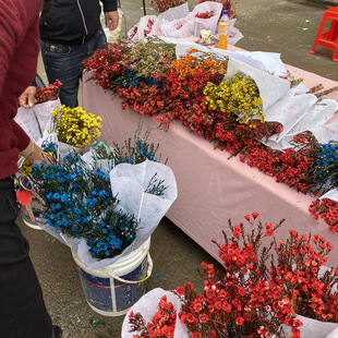 �D÷�r�������D÷�r�л��滨�D÷��֦��ˮ�_���ܽ����ؔ�؛�®aƷ