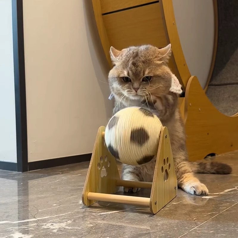 猫咪玩具猫抓板耐磨猫抓球猫咪猫爪板立式剑麻球猫抓板猫爬架一体|undefined