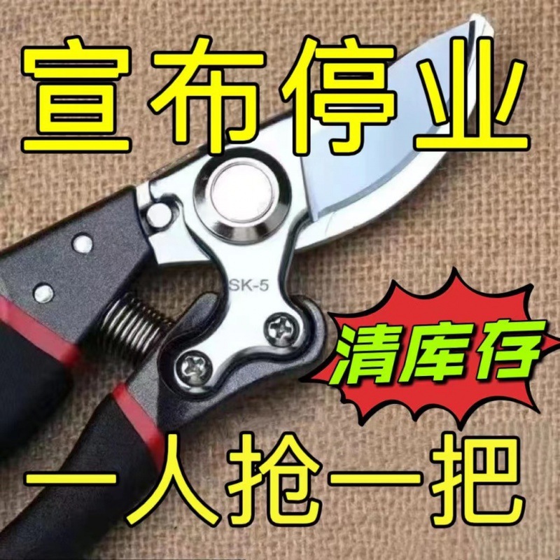 园艺高端强力修枝剪刀果树园林园艺专用修枝剪工具树枝修剪枝剪刀